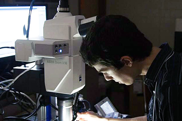 man using a microscope