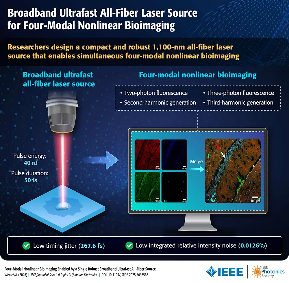 Infographic titled "Broadband Ultrafast All-Fiber Laser Source for Four-Modal Nonlinear Bioimaging." It illustrates a 1,100-nm laser beam striking a biological sample, which generates four types of signals: two-photon and three-photon fluorescence, and second and third-harmonic generation. A monitor displays four individual color-coded scans merged into one high-detail composite image of biological tissue. Key specs include 40 nJ pulse energy and 50 fs pulse duration.